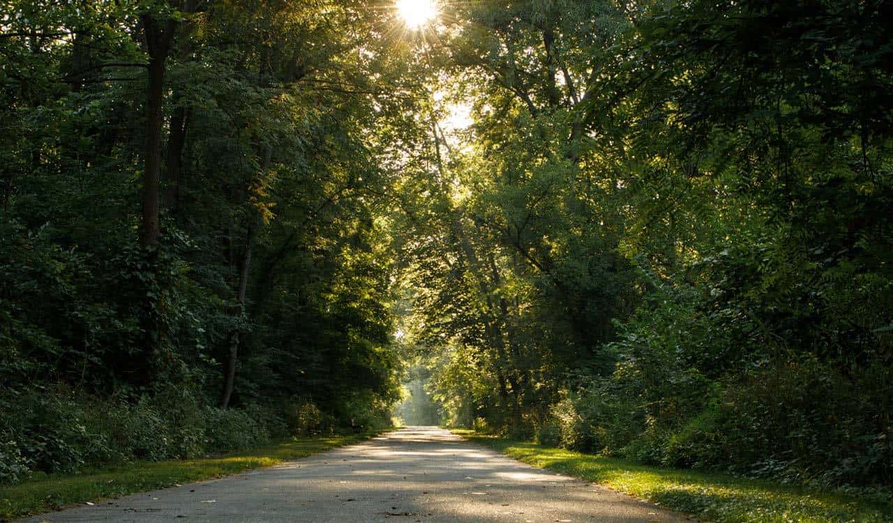 2020 CFEC Pathways - Pumpkinvine Trail