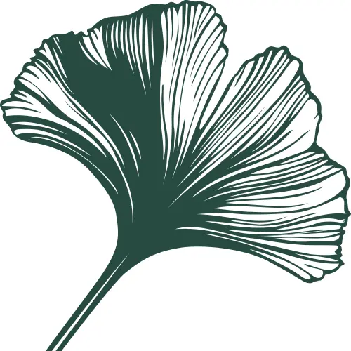 cfec_leaf_dkgreen Community Foundation of Elkhart County Dark Green Gingko Leaf